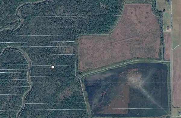 0 Jobe Wilson Road, Anahuac, TX 77514