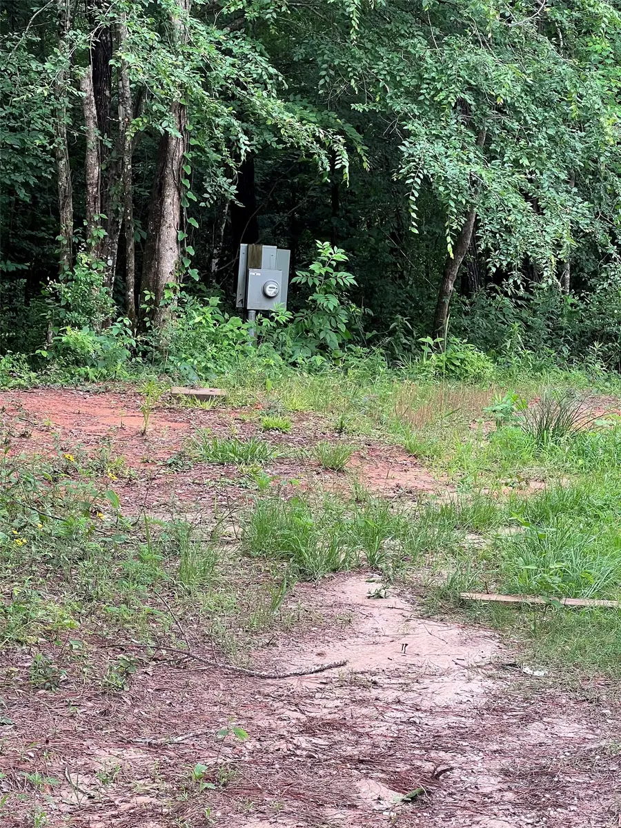 967 Big Foot Wallace Trail, Livingston, TX 77351 - #2