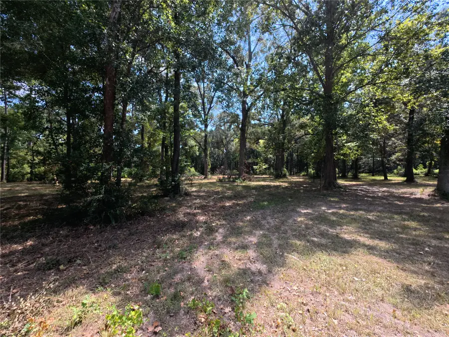 5 River Terrace Rd, Huffman, TX 77336 - #2