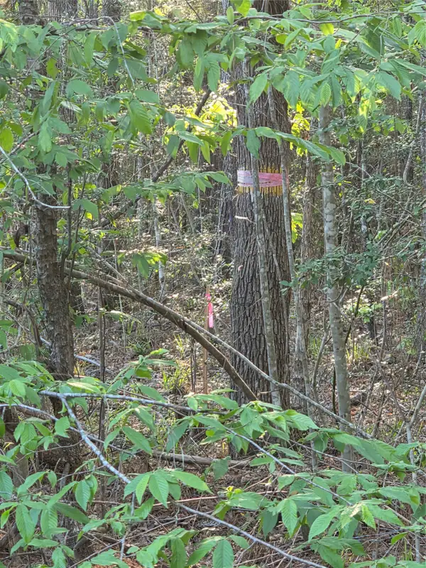 TBD Pacel# 130757 Hwy 190, Point Blank, TX 77364