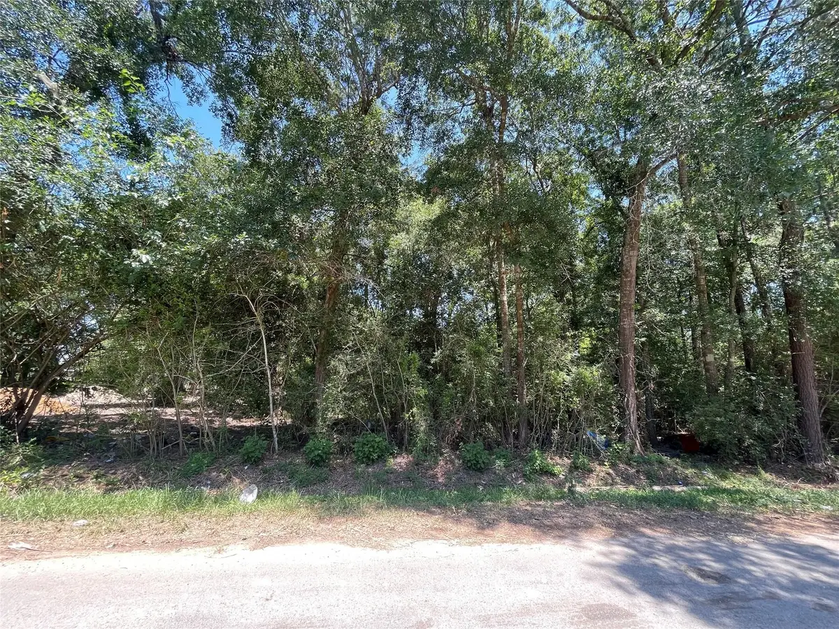 0 County Road 3252, Cleveland, TX 77327 - #1