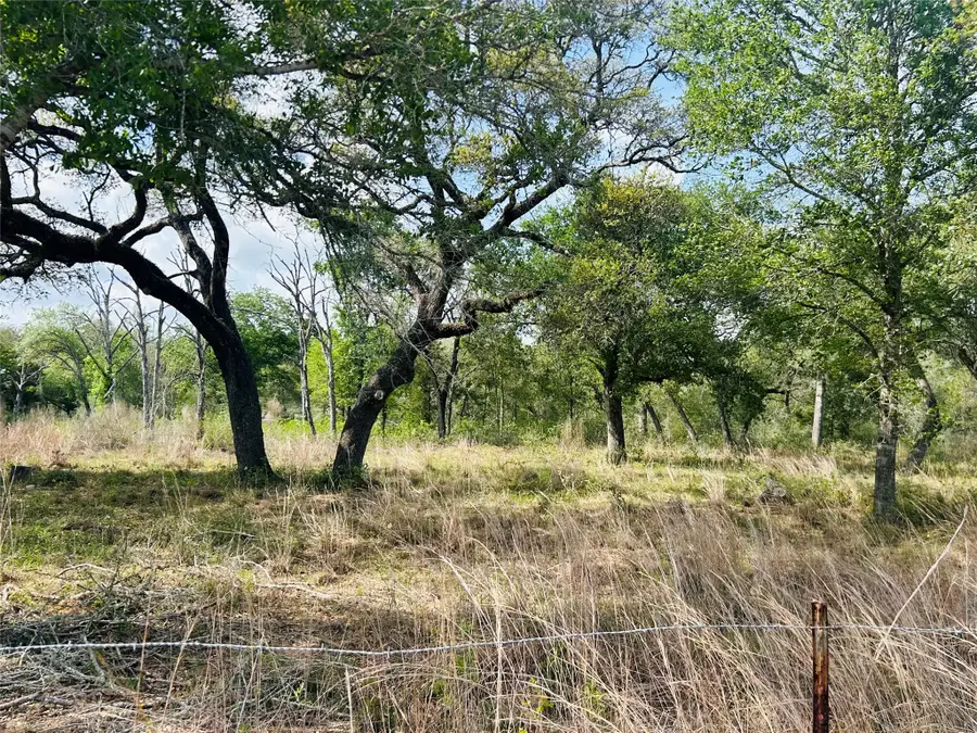 1390 County Road 106, Columbus, TX 78934 - #3