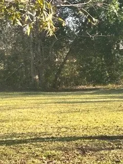 00 County Road 161, Montgomery, TX 77582