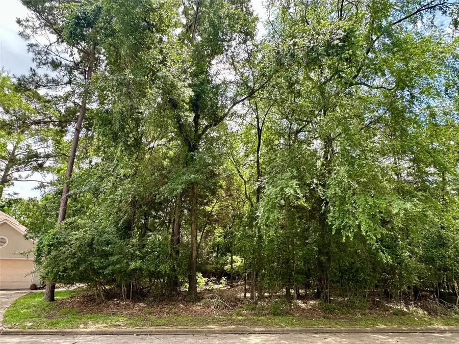 3310 Dunes Circle, Montgomery, TX 77356 - #2