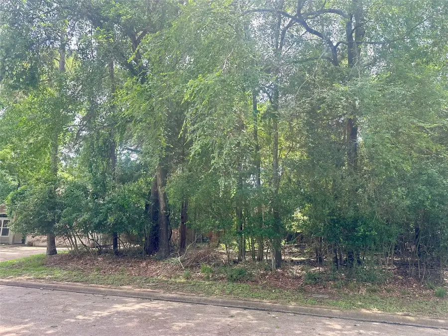 3310 Dunes Circle, Montgomery, TX 77356 - #3