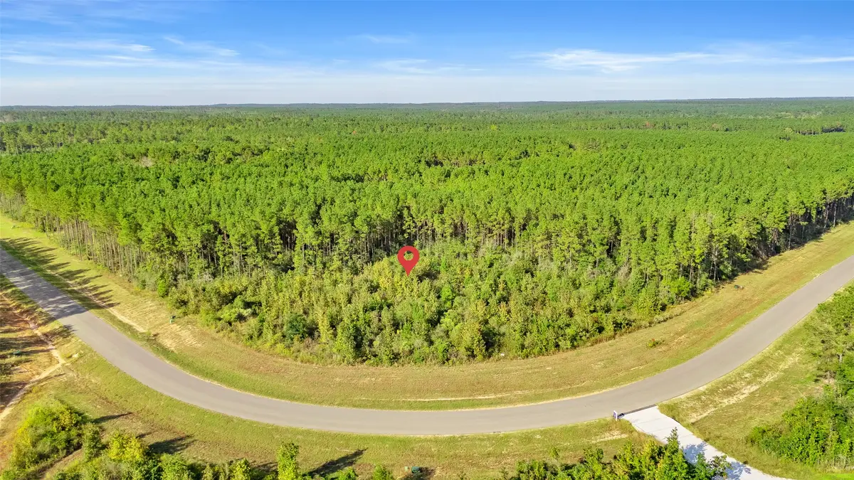16086 Forest Mill Road, Willis, TX 77378 - #1