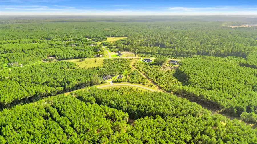 16086 Forest Mill Road, Willis, TX 77378 - #2
