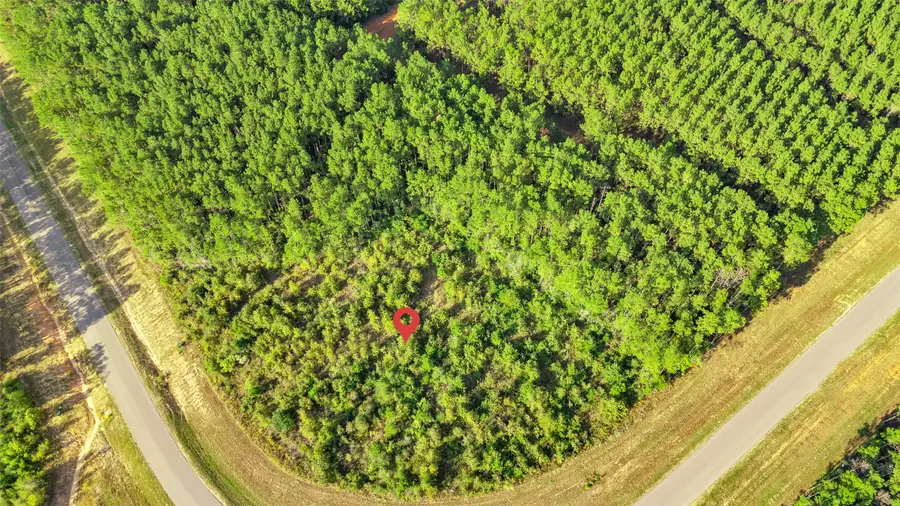 16086 Forest Mill Road, Willis, TX 77378 - #3