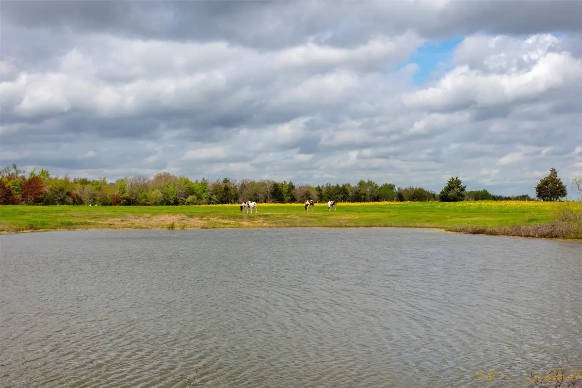 3882 Webb Cemetary Road, Calvert, TX 77837 - Image #1