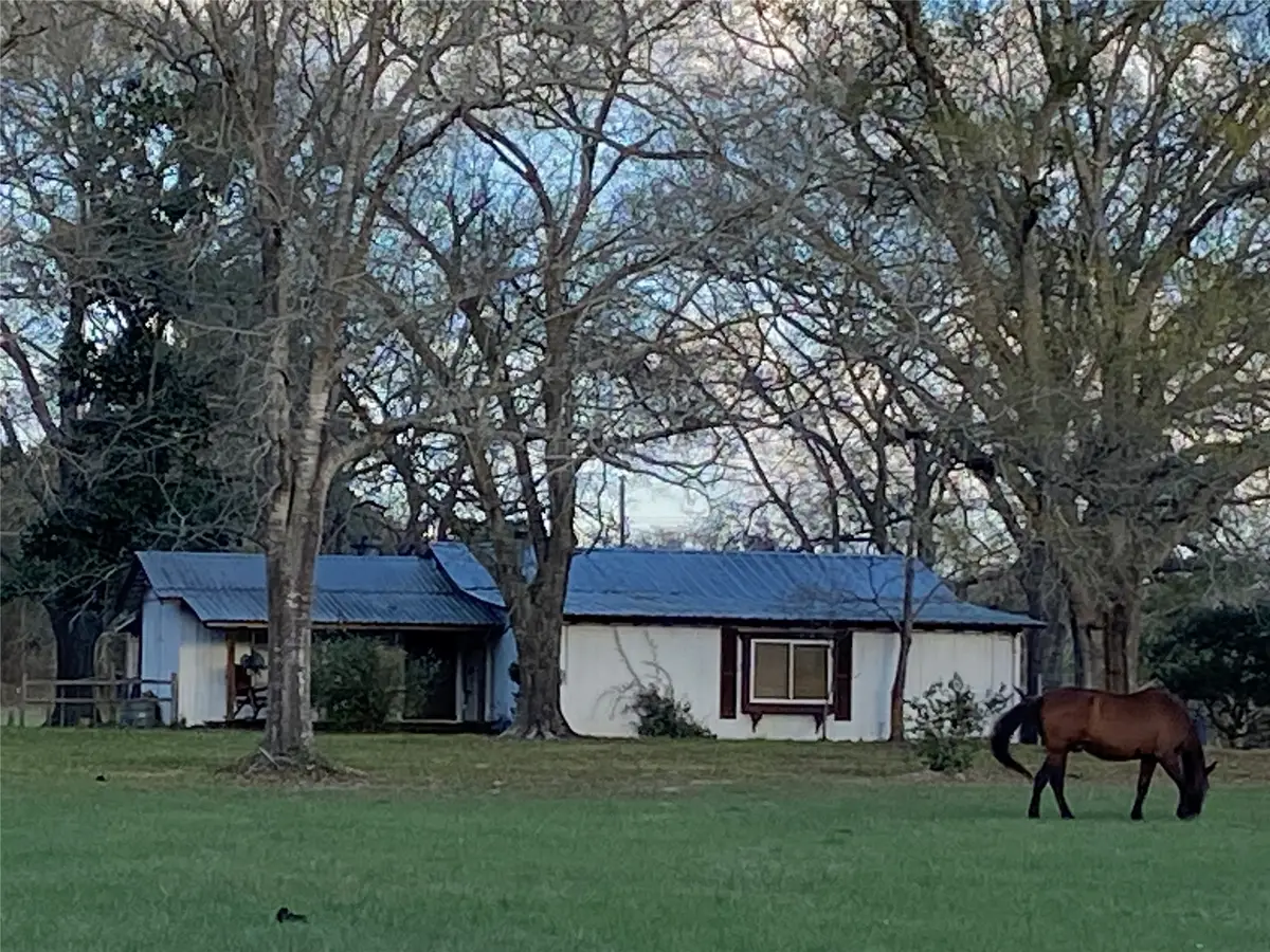 18133 Fm 1774, Plantersville, TX 77363 - #1