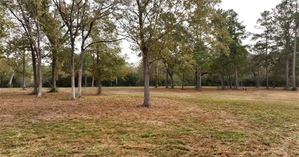 5.3 AC tbd Spring Branch Rd, Montgomery, TX 77316