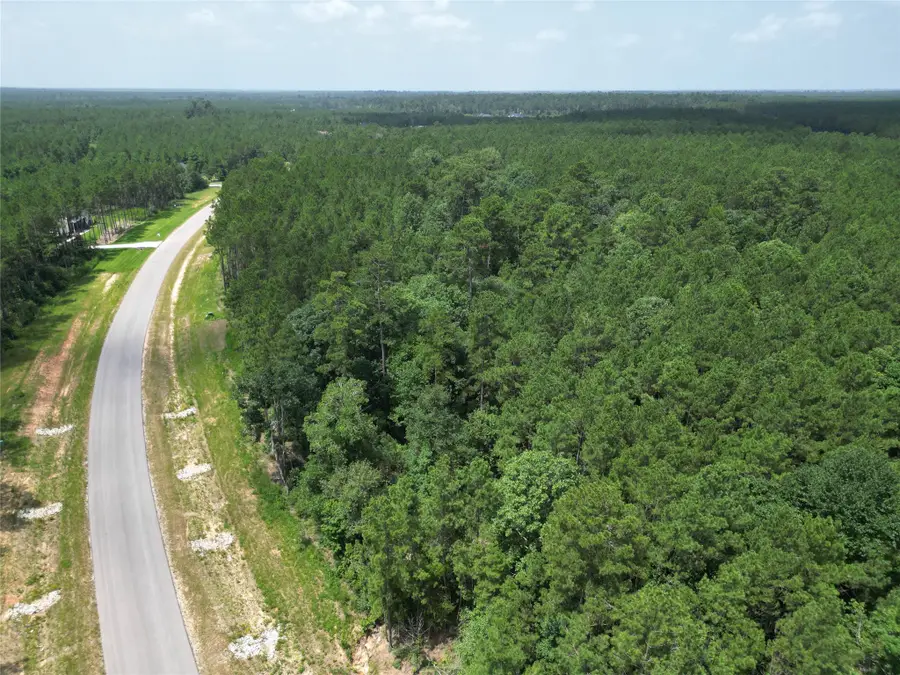15884 Ridge Oak Road, Willis, TX 77378 - #2