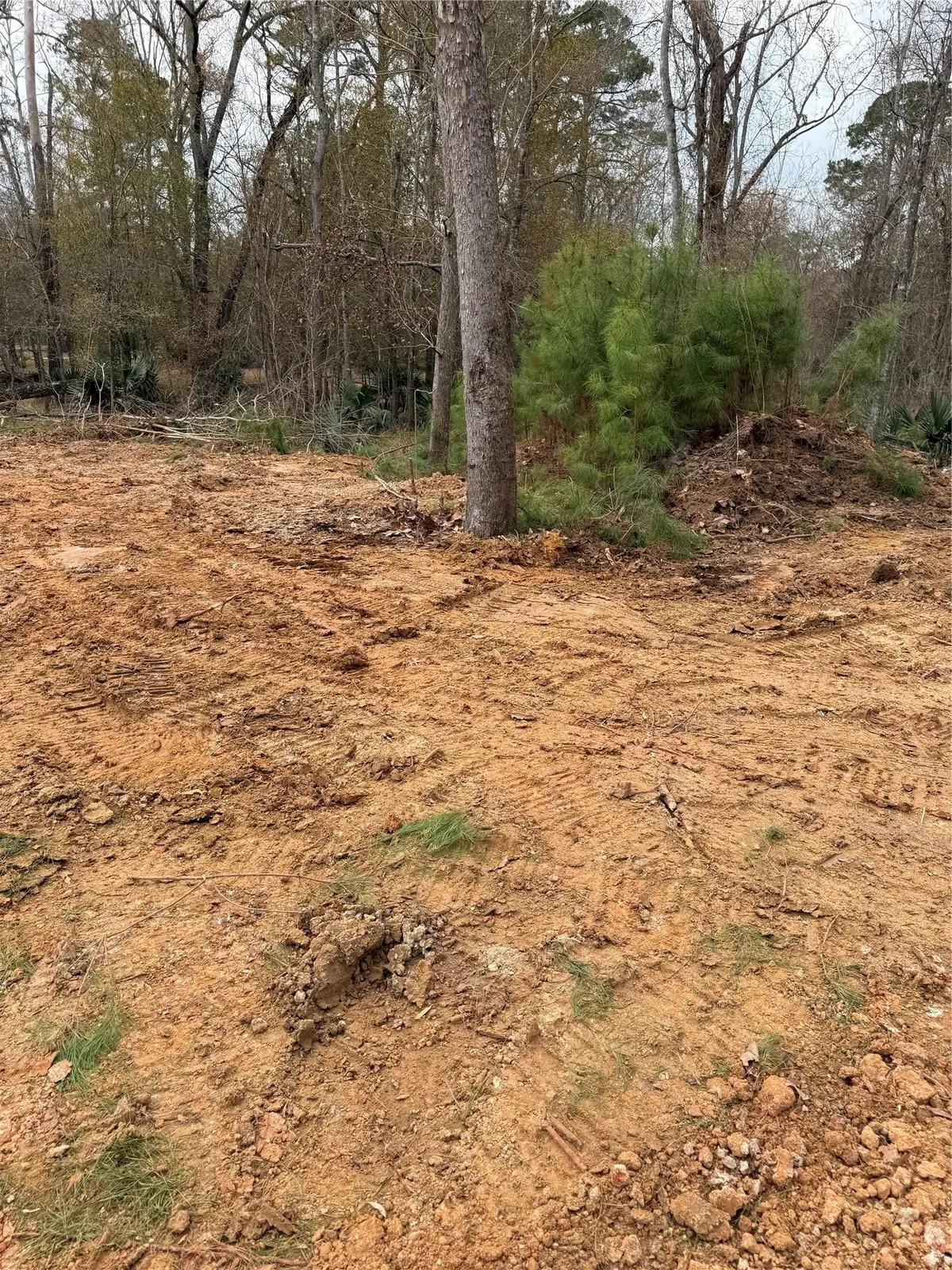 524 White Oak Drive, Huffman, TX 77336 - #1