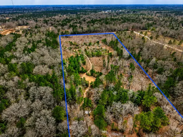 21251 Doru Drive, Cleveland, TX 77328