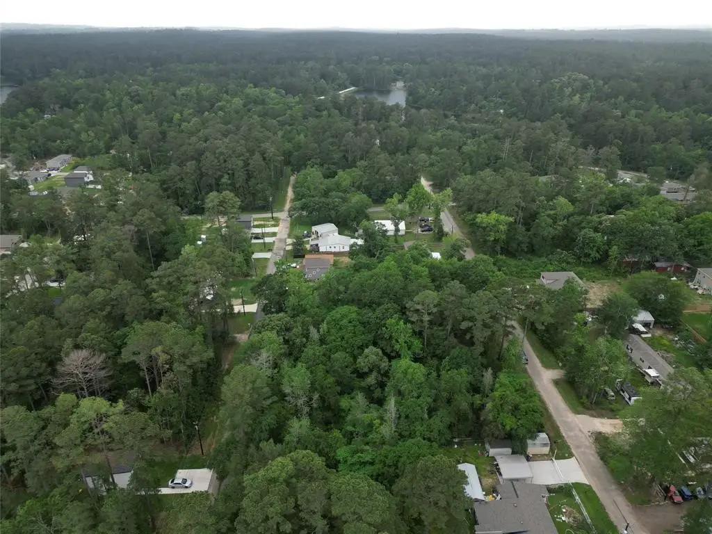 TBD Holly Drive, Montgomery, TX 77356 - Image #1