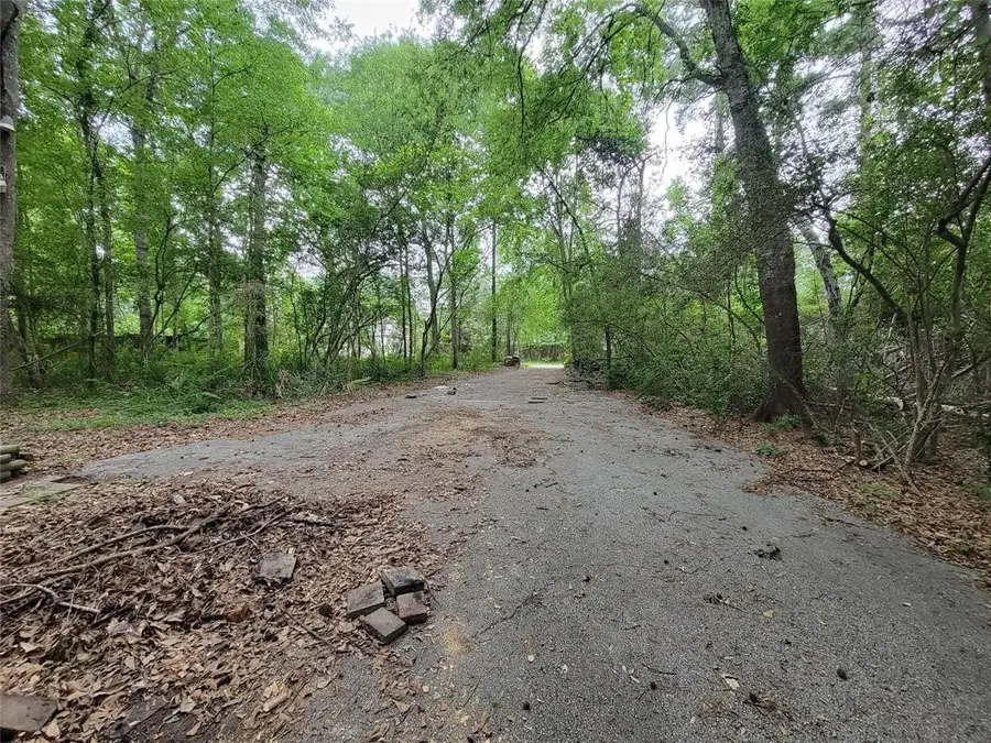 TBD Holly Drive, Montgomery, TX 77356 - Image #2