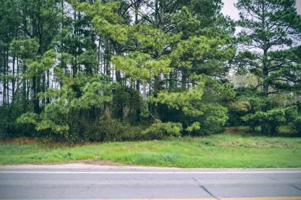 11167 State Highway 87 S, Shelbyville, TX 75973