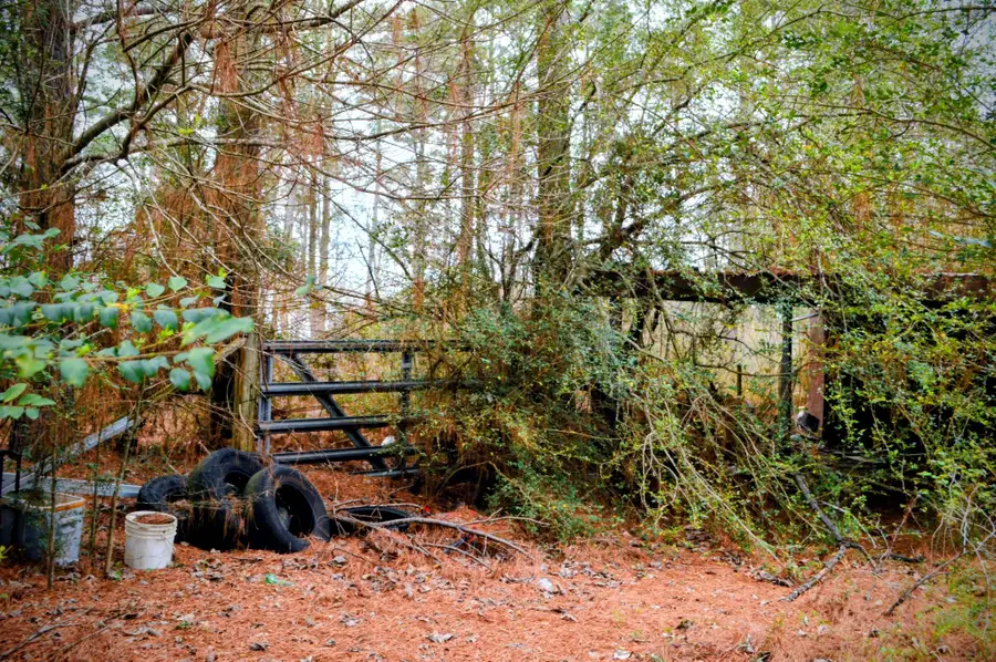 11167 State Highway 87 S, Shelbyville, TX 75973 - #3