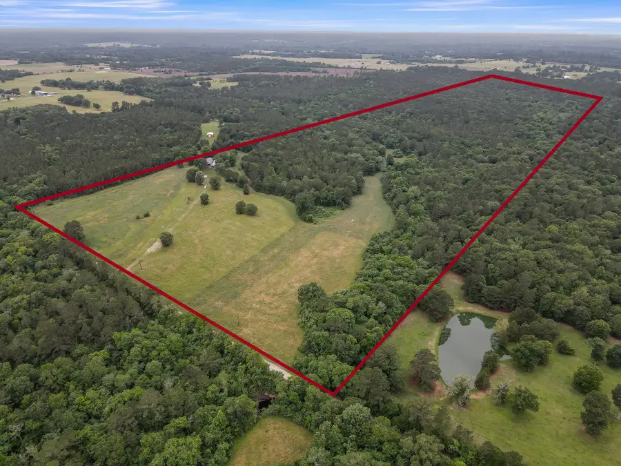 276 Walker Loop, Huntsville, TX 77340 - #2