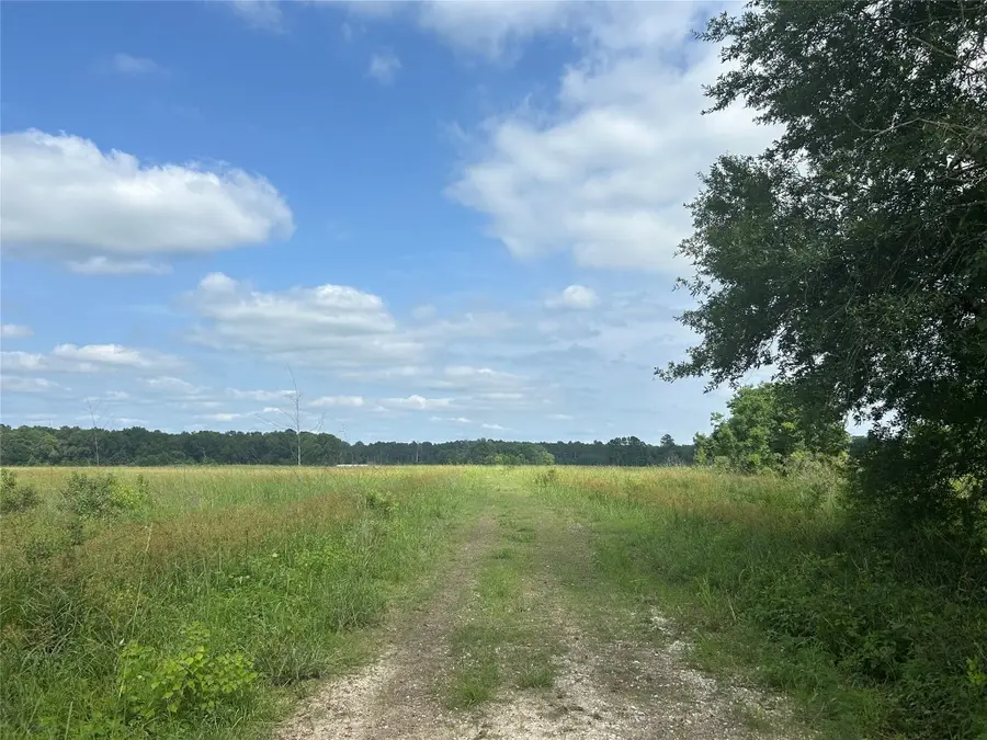 Lot 1 Minnie West Road, Hull, TX 77564 - #2