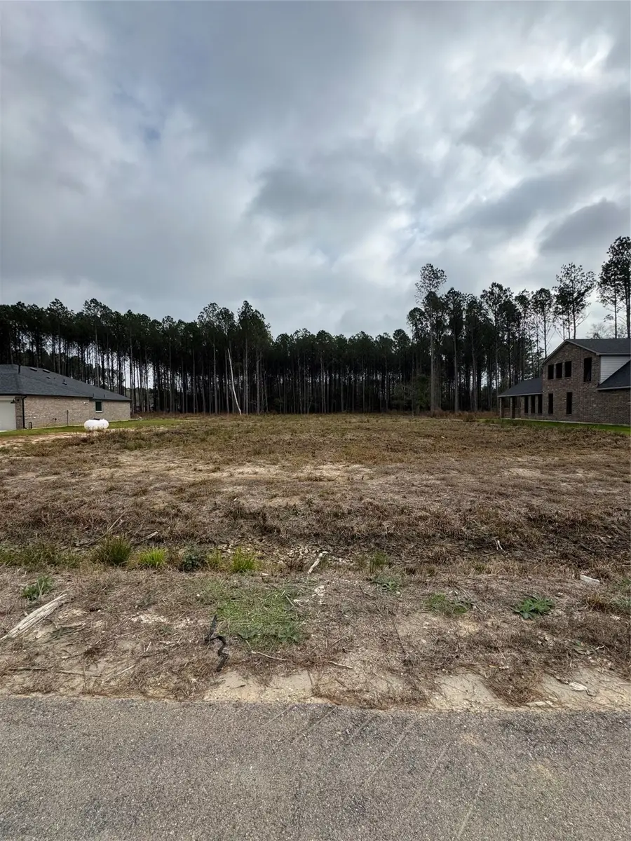 4308 Road 66128, Dayton, TX 77535 - Image #3