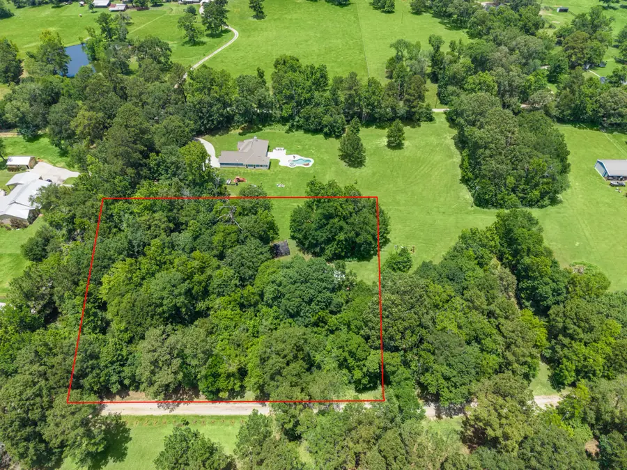 17260 Dutch Road, New Waverly, TX 77358 - #3