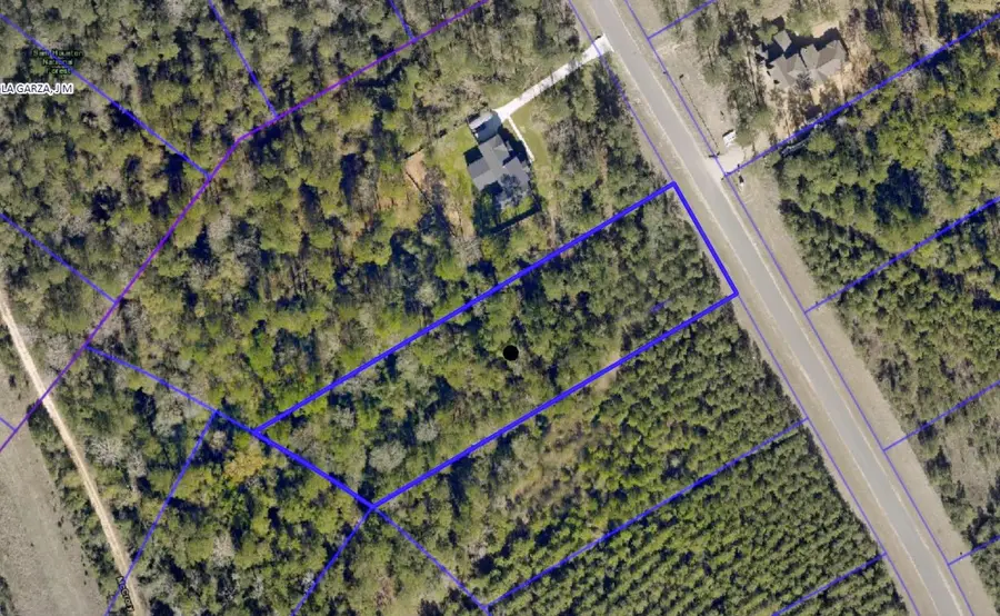 15769 Wood Grove Way, Willis, TX 77378 - #3