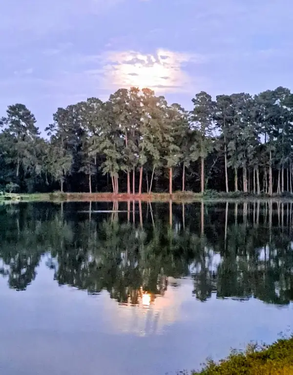 26424 Leisure Ln Lane, Magnolia, TX 77355