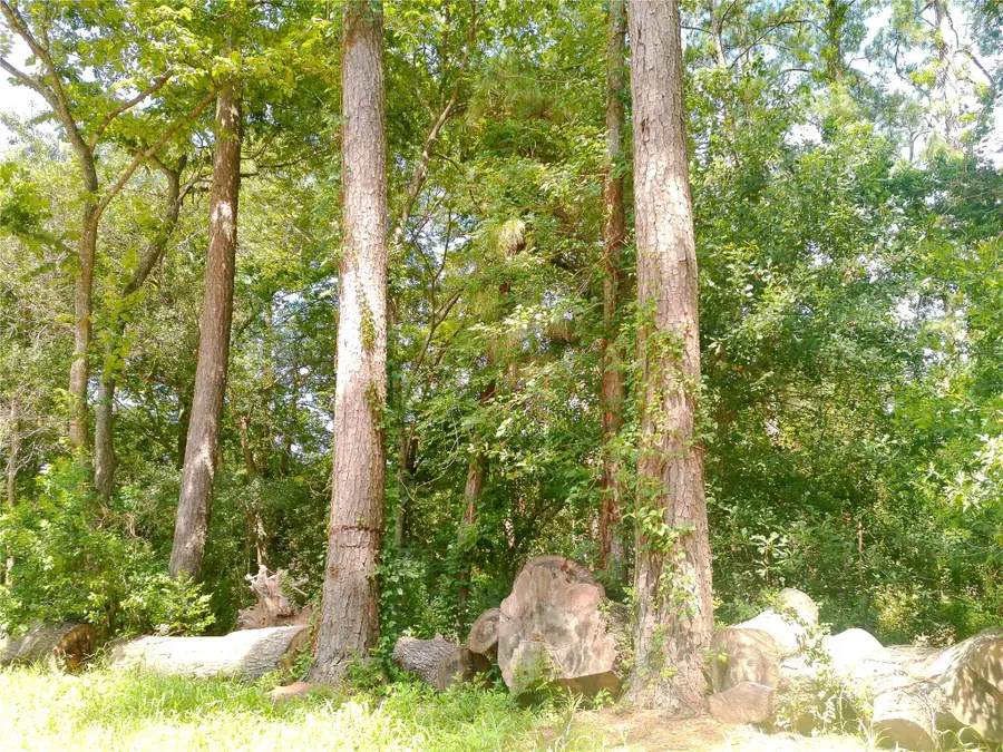 26424 Leisure Ln Lane, Magnolia, TX 77355 - Image #2