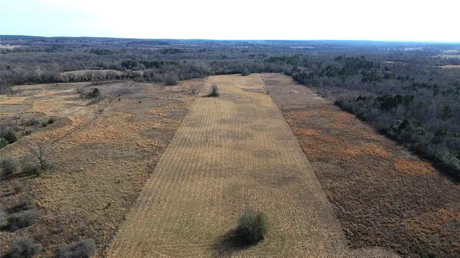 TBD Cr 2255 Lane, Grapeland, TX 75844 - #2