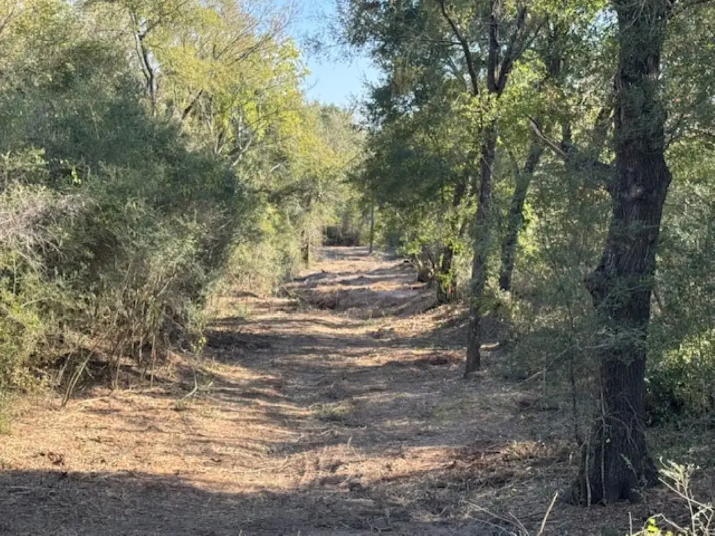 TBD Sweed Road, Washington, TX 77880 - Image #1