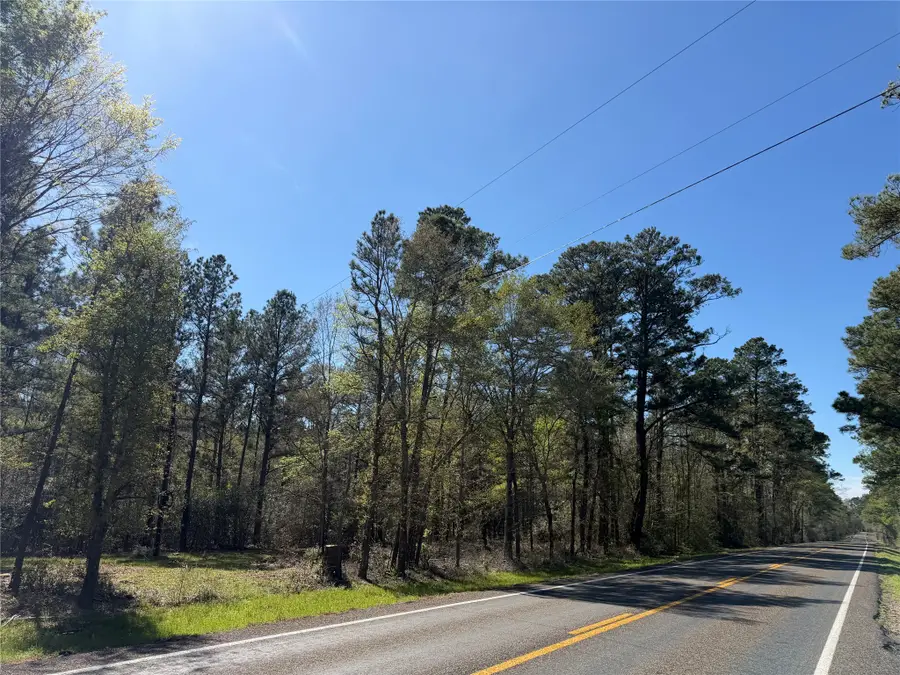 00 00 Fm 247, Huntsville, TX 77320 - #2