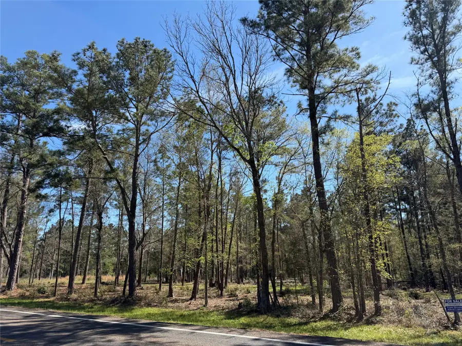 00 00 Fm 247, Huntsville, TX 77320 - #3