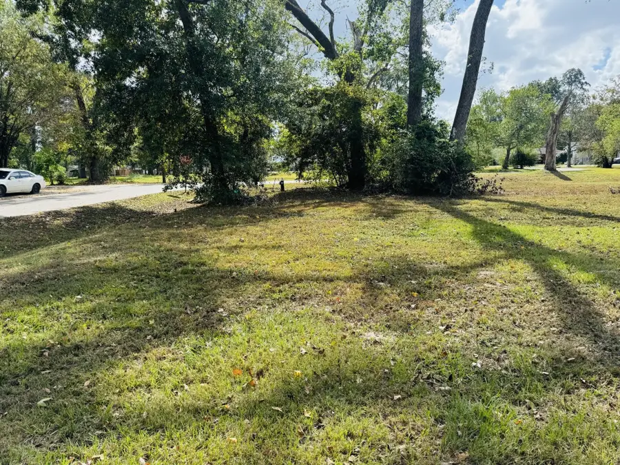 TBD Daisy, Dayton, TX 77535 - #3