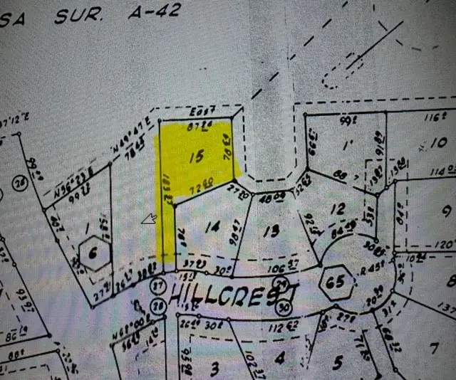 TBD Hillcrest, Trinity, TX 75862 - Image #1