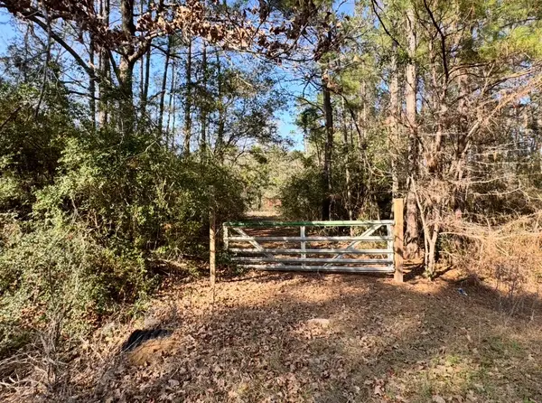 24728 Shady Oaks Blvd, Montgomery, TX 77316