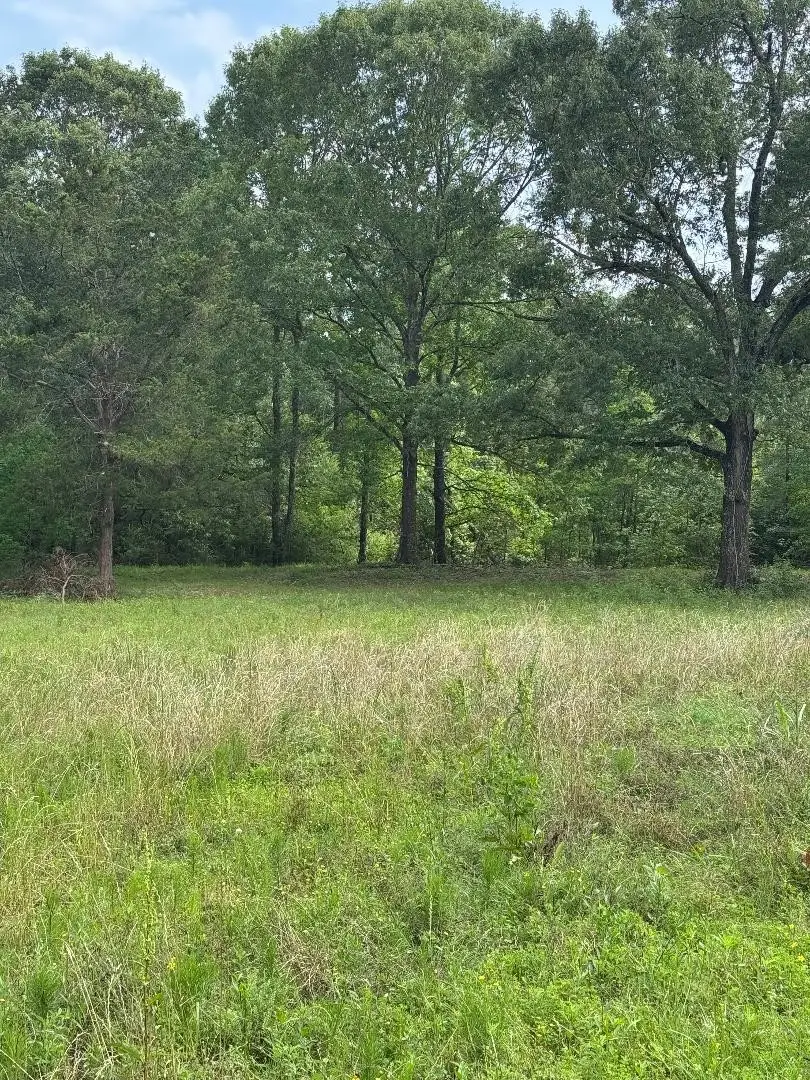 6370 Fm 1374 Road, New Waverly, TX 77358 - #1