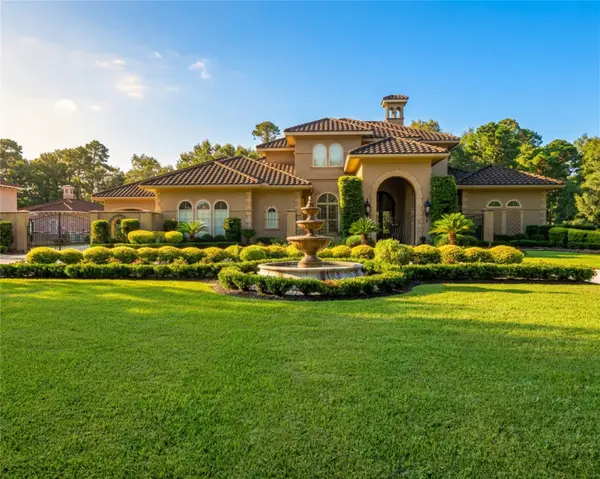 28427 Woodsons Lake Drive, Spring, TX 77386
