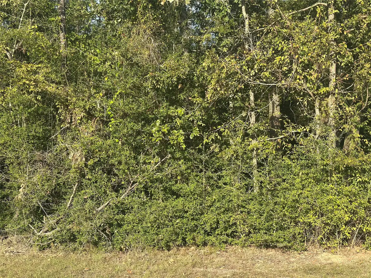 0 Magnolia Lane, Onalaska, TX 77360 - Image #1