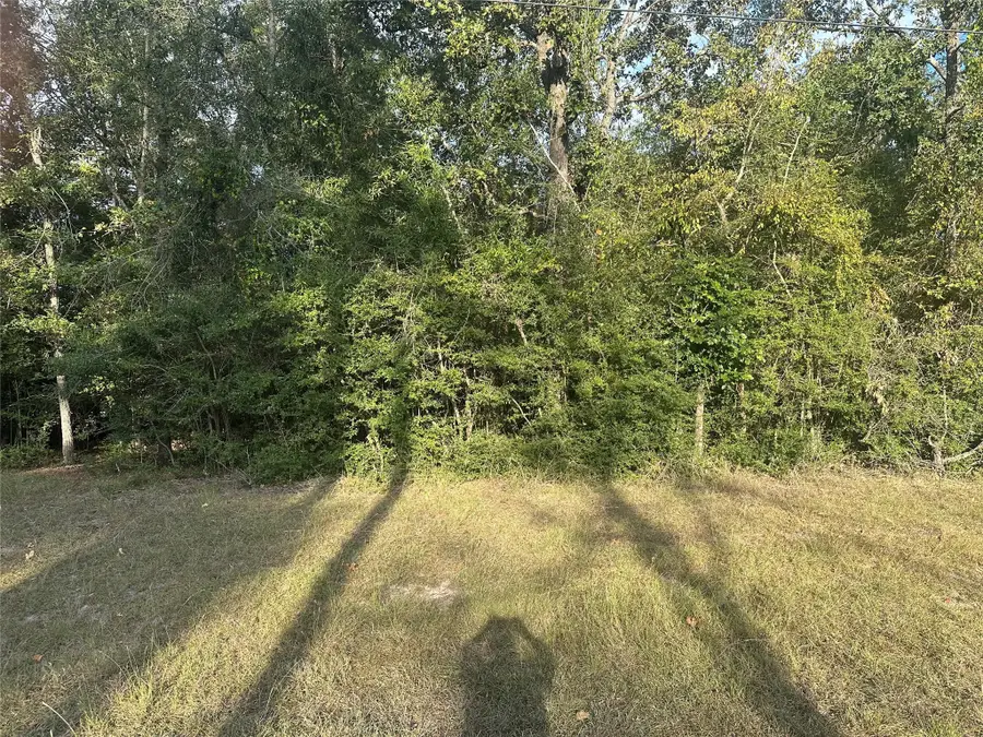 0 Magnolia Lane, Onalaska, TX 77360 - Image #3