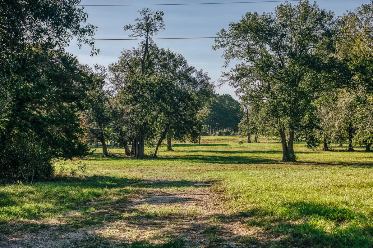 7846 County Road 227, Bedias, TX 77831 - #1