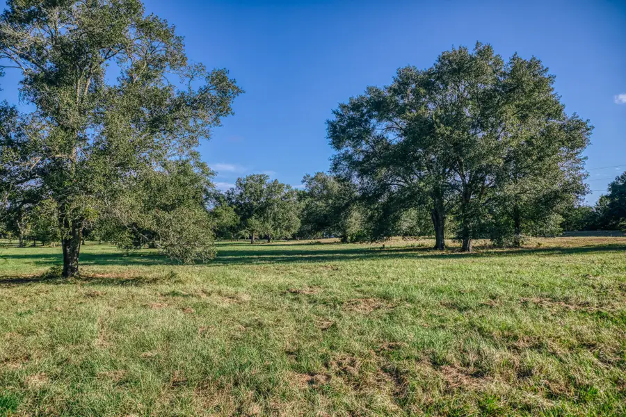 7846 County Road 227, Bedias, TX 77831 - #3
