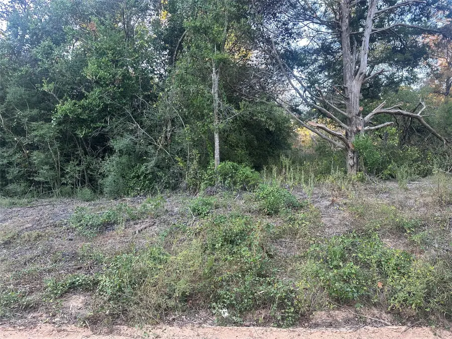 676 Patricia Drive, Livingston, TX 77351 - Image #2