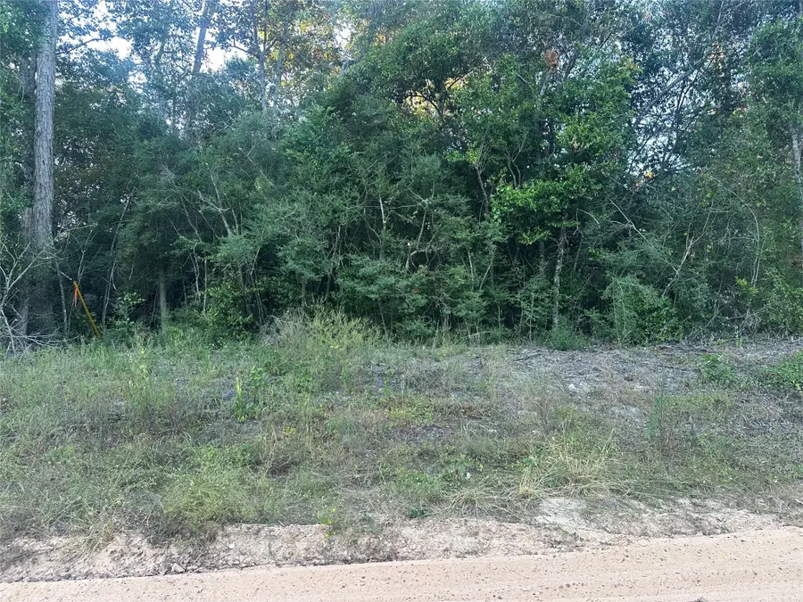 676 Patricia Drive, Livingston, TX 77351 - Image #3