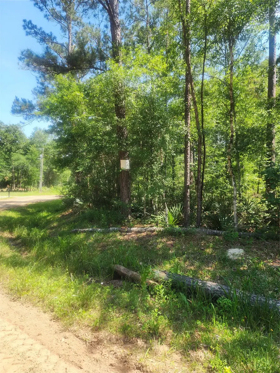 01 Cindy Lane, Shepherd, TX 77371 - #2