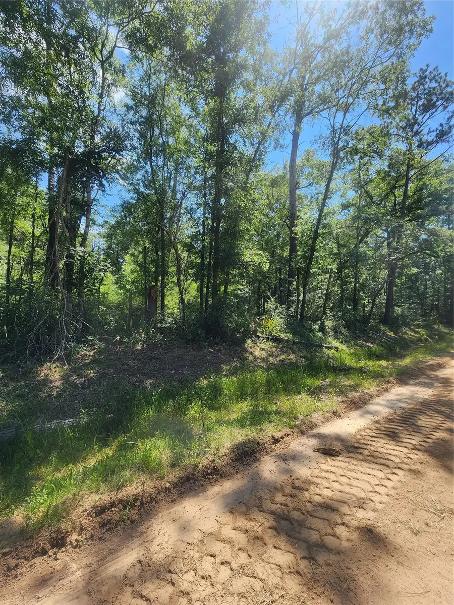 01 Cindy Lane, Shepherd, TX 77371 - #3
