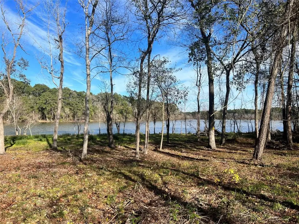 0 W Lakelane, Humble, TX 77338 - #1