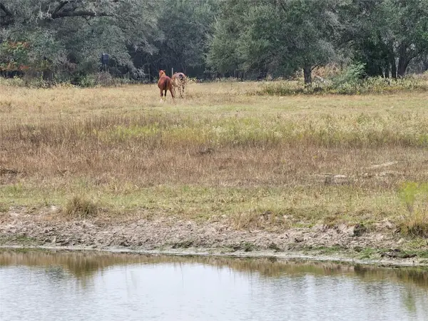 0 Schultz, Columbus, TX 78934