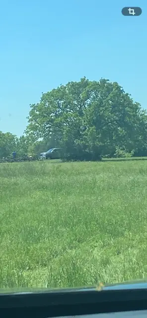 21174 Harrison Drive, Bedias, TX 77831