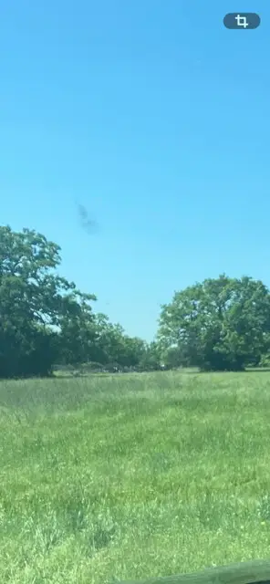 21174 Harrison Drive, Bedias, TX 77831 - Image #2